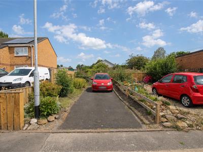 Picture 16